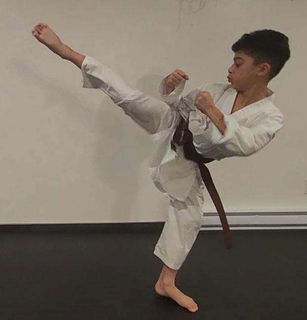 Karate student performing a kick